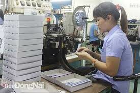 Dệt Nhãn Nhân Mỹ 7