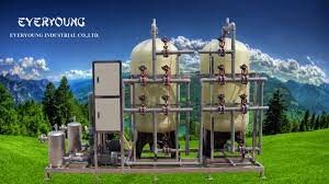 Công Ty TNHH Everyoung 3