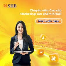 Ngân hàng TMCP Sài Gòn - Hà Nội (SHB bank) 17
