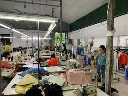 Vinamika Việt Nam 2