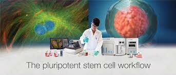 Vitech Development 8