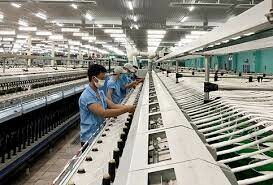 Dệt Nhãn Nhân Mỹ 8