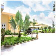 Công ty Bao Bì Thịnh Thành Đạt 9