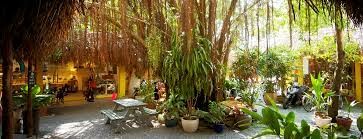 The Reed Hotel Ninh Binh 9