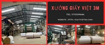 Giấy Việt 3M 9