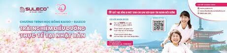 Suleco Edu 7