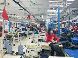 Dệt Nhãn Nhân Mỹ 9