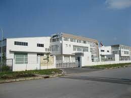 Spica Elastic Việt Nam 10