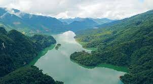 Công Ty Capella Group 1