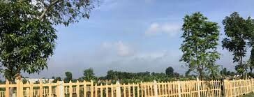 Công ty TNHH DỊCH VỤ VÀ ĐỊA ỐC DNA 11