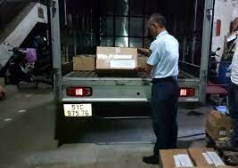 NGŨ KIM HOA DƯƠNG VIỆT NAM 10