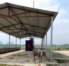 Công Ty Đầu Tư Phát Triển và Xây Dựng Quốc Tế 3