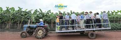 Nông Nghiệp U&I 8