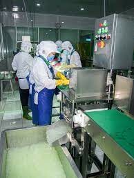 Nha Đam VIỆT NAM 8