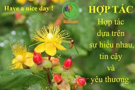 BIZMO INVESTMENT MANAGEMENT J.S.C 7