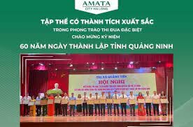 Amata City Joint Stock Company 1