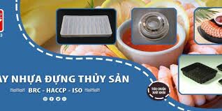 TÂN TƯỜNG KHANG 8