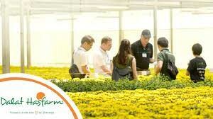 Dalat Hasfarm 8