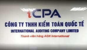 ICPA audit.advisory 17