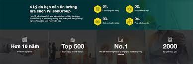 Wilson VIỆT NAM 10