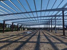 Woochang Việt Nam 10