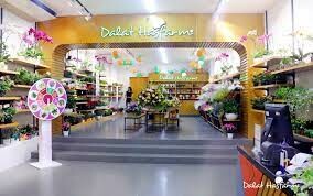 Dalat Hasfarm 6