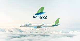 Bamboo airways 3
