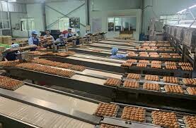 Công ty Sản xuất và thương mại Thần Nông 4