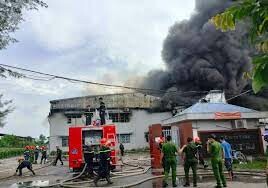 Woochang Việt Nam 11