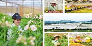 Dalat Hasfarm 5