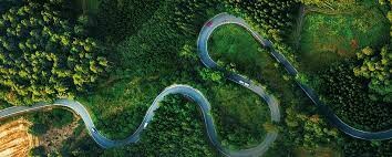 Hutchinson Việt Nam 6