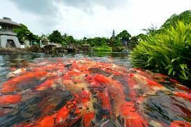 Công Ty Cổ Phần Phát Triển Đầu Tư Và Xây Lắp Tiến Thịnh 3