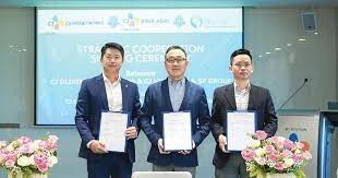 CJ Olivenetworks VINA 4