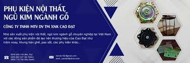 NGŨ KIM HOA DƯƠNG VIỆT NAM 2