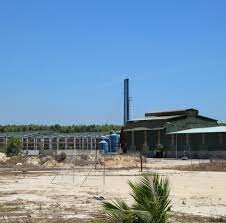 Môi Trường Xanh Pedaco 8