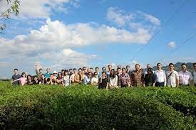 Tổng Công Ty Chè Việt Nam 8