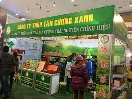 Tổng Công Ty Chè Việt Nam 7
