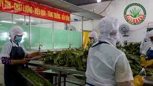 Nha Đam VIỆT NAM 7