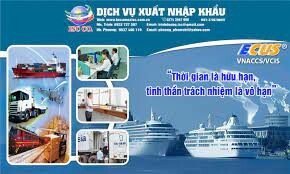 Bầu Trời Mới Việt Nam 6