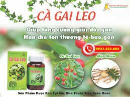 Dược Phẩm Ngôi Sao Ý 6