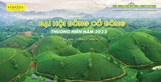 Tổng Công Ty Chè Việt Nam 5