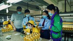 Tập đoàn Wagon 6