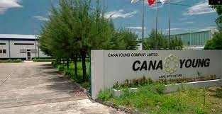 Công Ty TNHH Cana Young 8