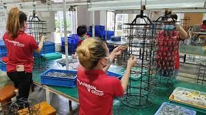 Tập đoàn Wagon 5