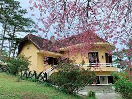 Phát Triển Du Lịch Tân An 3