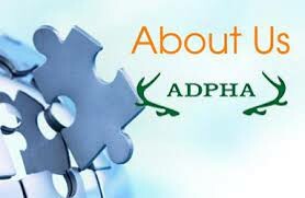 Công Ty TNHH Adpha Hà Nội 5