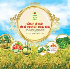BẢO VỆ THỰC VẬT 1 TRUNG ƯƠNG 8