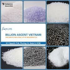 Billion Ascent Việt Nam 4