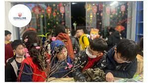 Casalink Edu Việt Nam 4