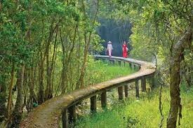 Phát Triển Du Lịch Tân An 4